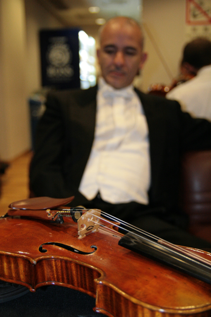 violino primo piano.JPG