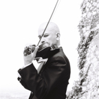 violino marsina.JPG